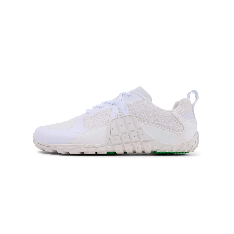 Light Flex