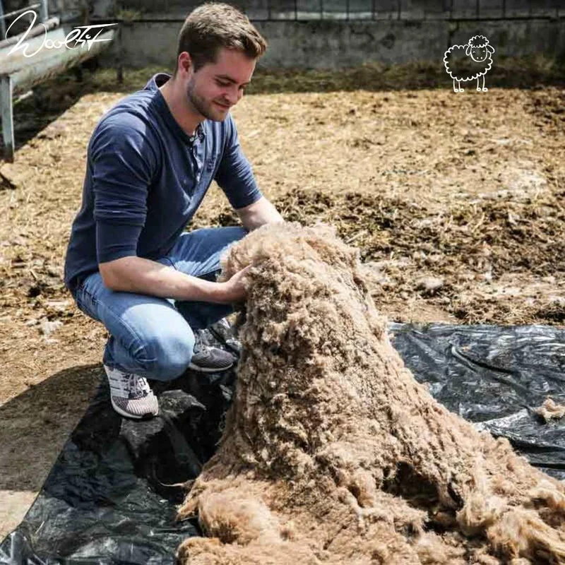 Tundra leichte Filzpantoffeln aus 100% Wolle, hellgrau