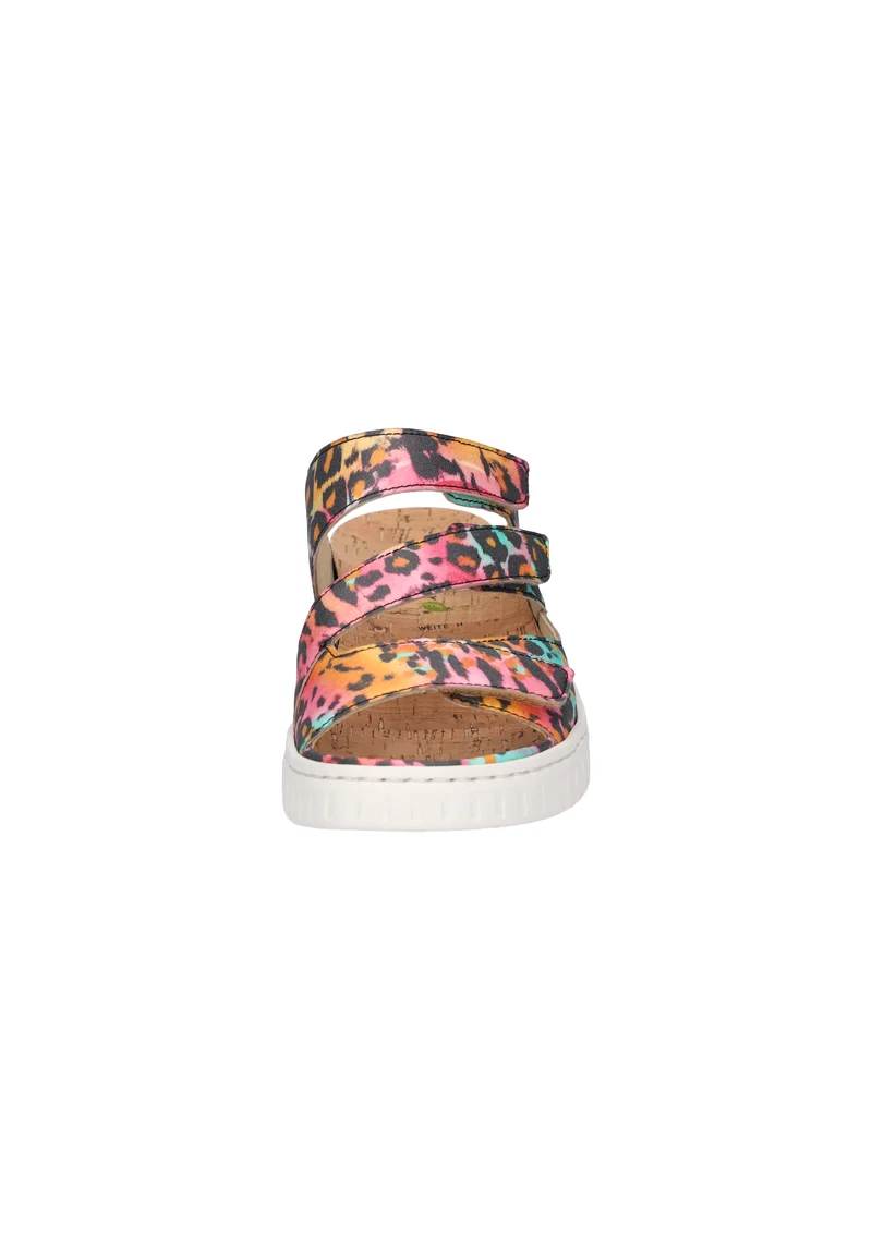 H-Willow multi