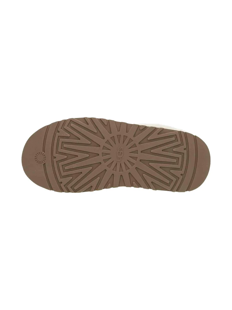 W Tazzelle chestnut