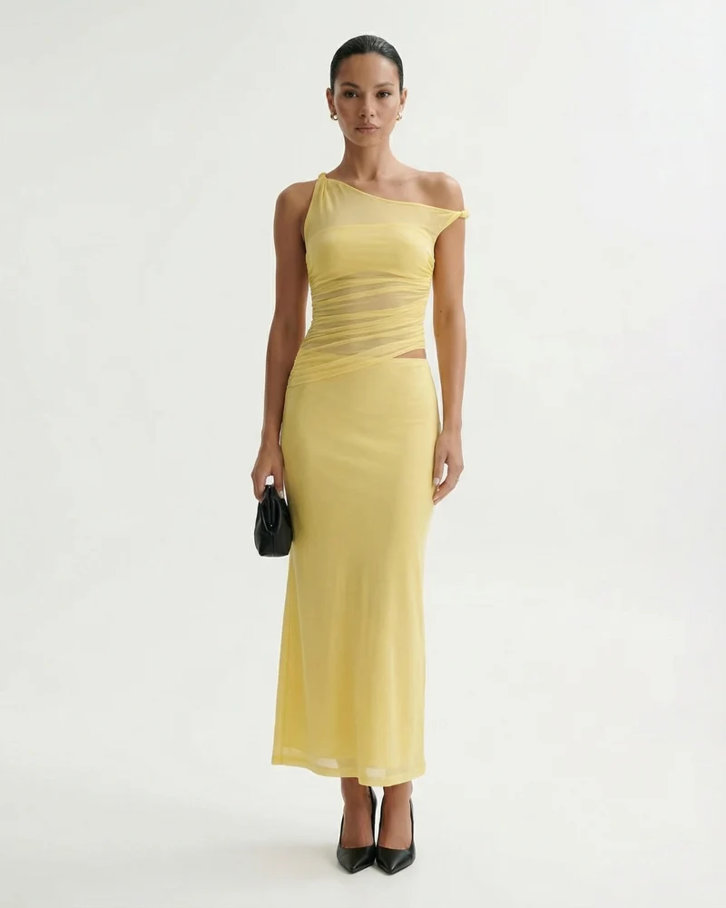 Milena Mesh Dress slim hip