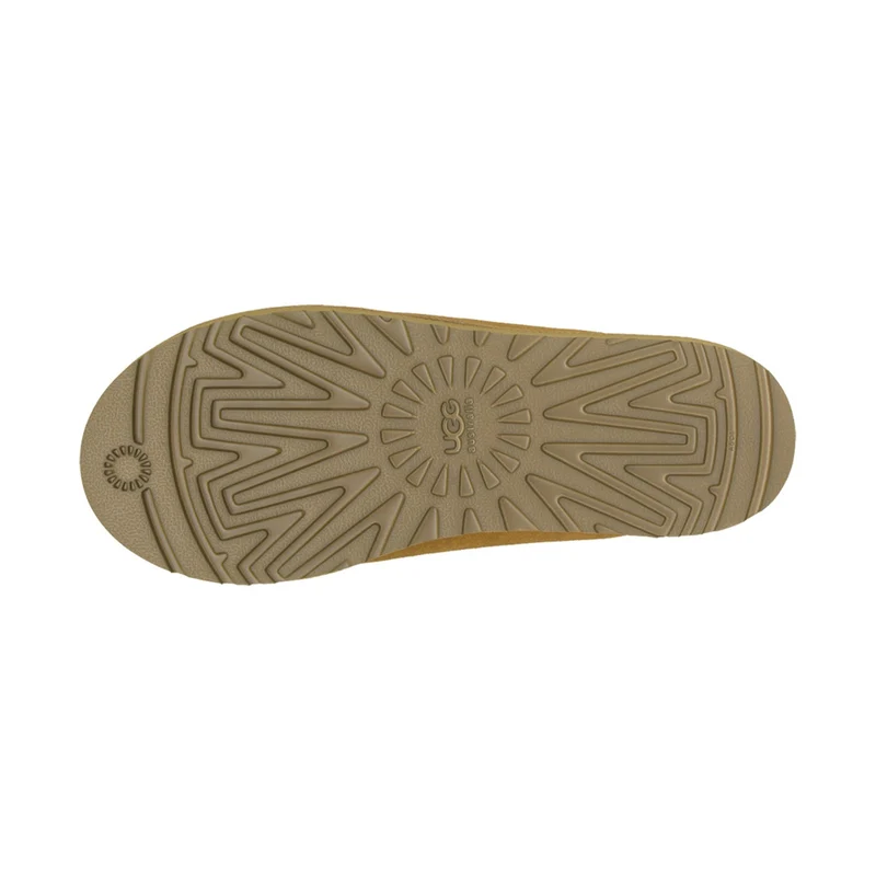 Tasman M chestnut