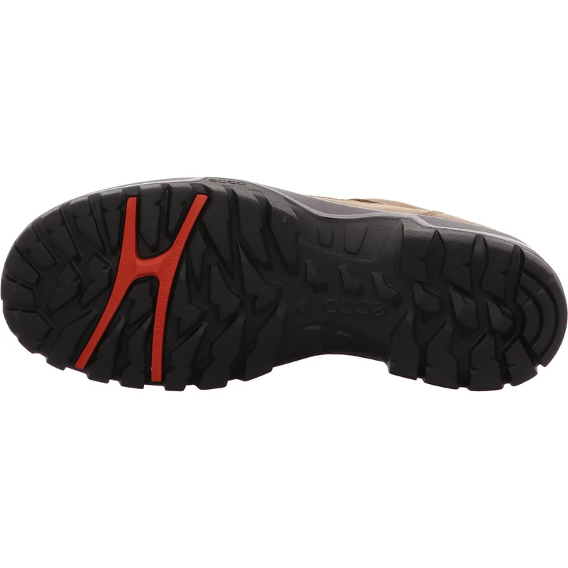 Ecco Wanderschuh RECEPTOR TREKK M braun
