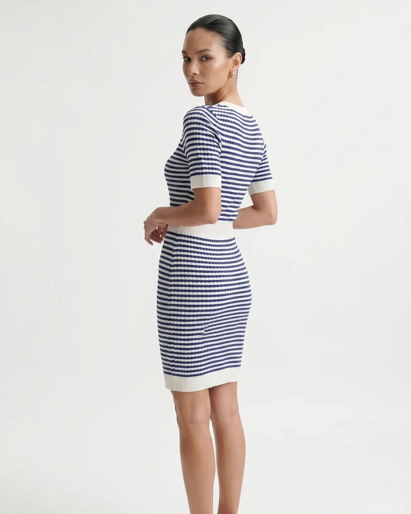Blue Striped Contrast Dress