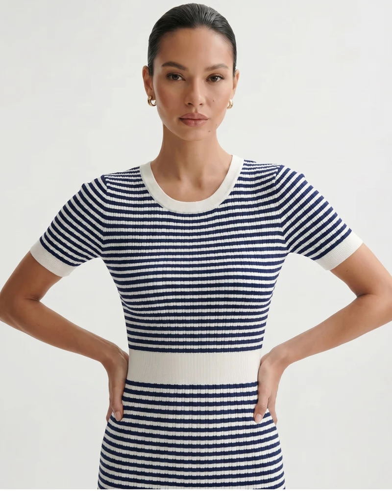 Blue Striped Contrast Dress
