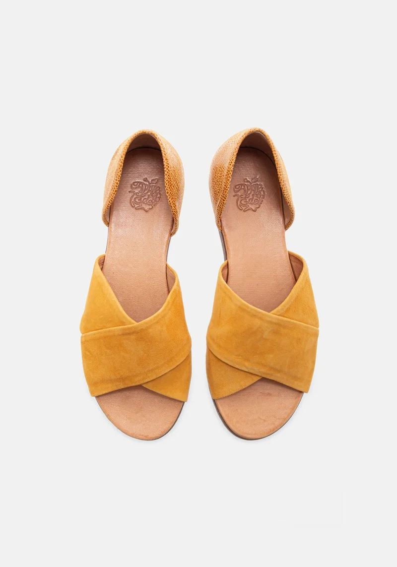 Chiusi 40 camel