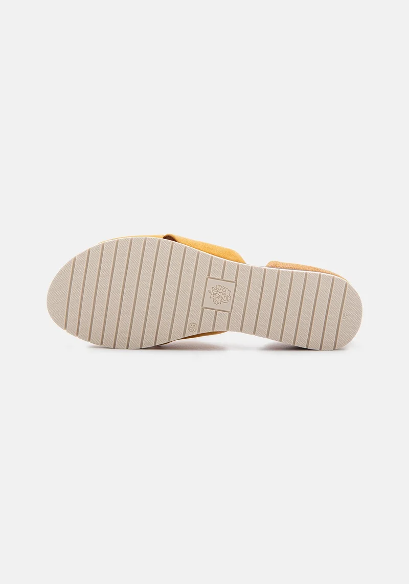 Chiusi 40 camel