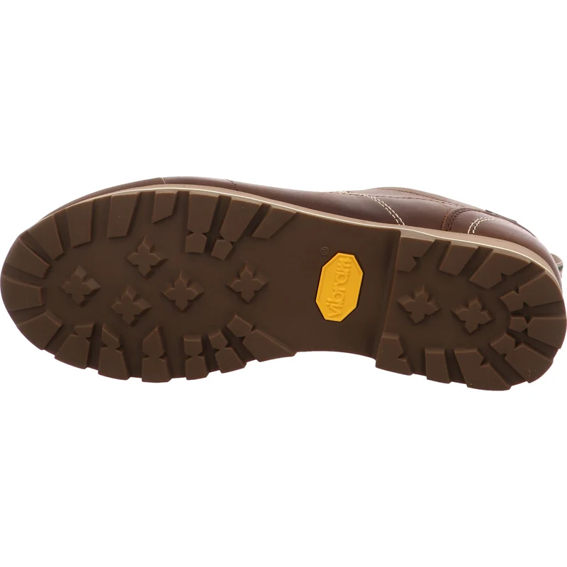 Dolomite Wanderschuh 54 Low Fg Evo GTX braun